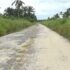 Delta Community Calls On NDDC To Reconstruct Failed Road, To Revitalize Economy
